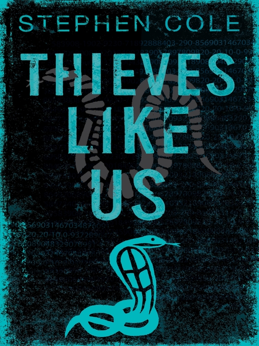 Cover image for Thieves Like Us